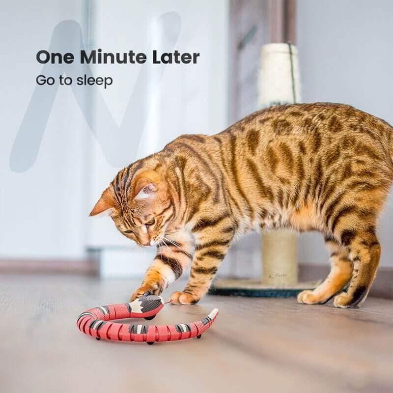 Cat Toys; Funny Snake Smart Sensing Electric Interactive Toys for Cats