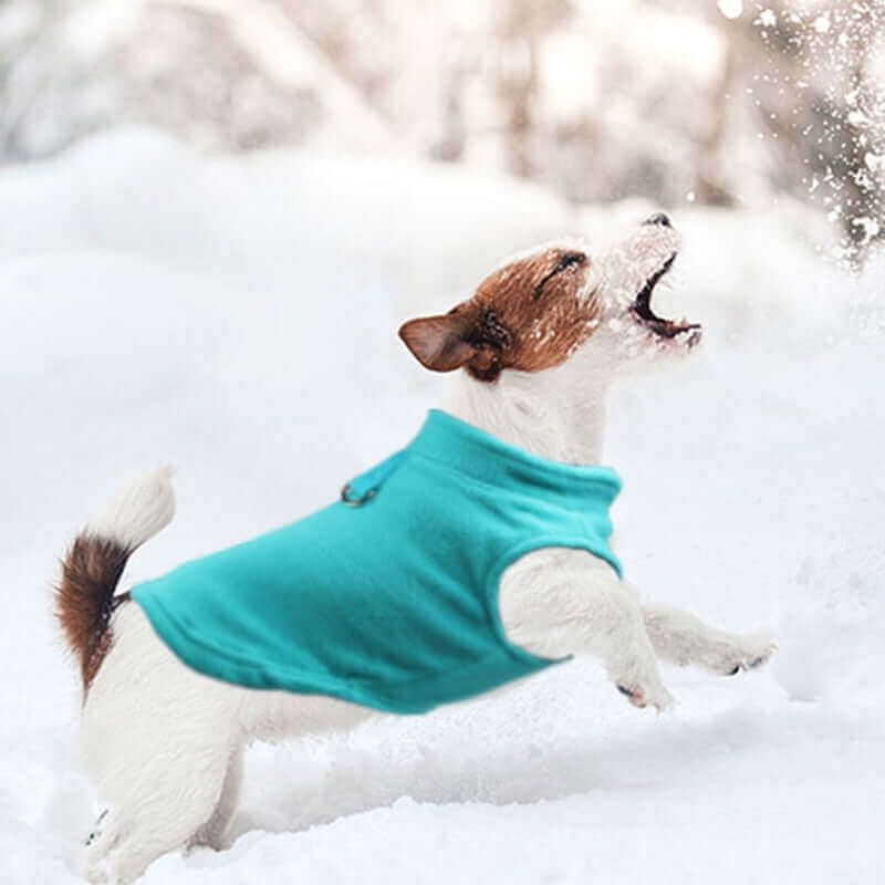 Winter Fleece Dog Clothing for Mostly Small Dogs