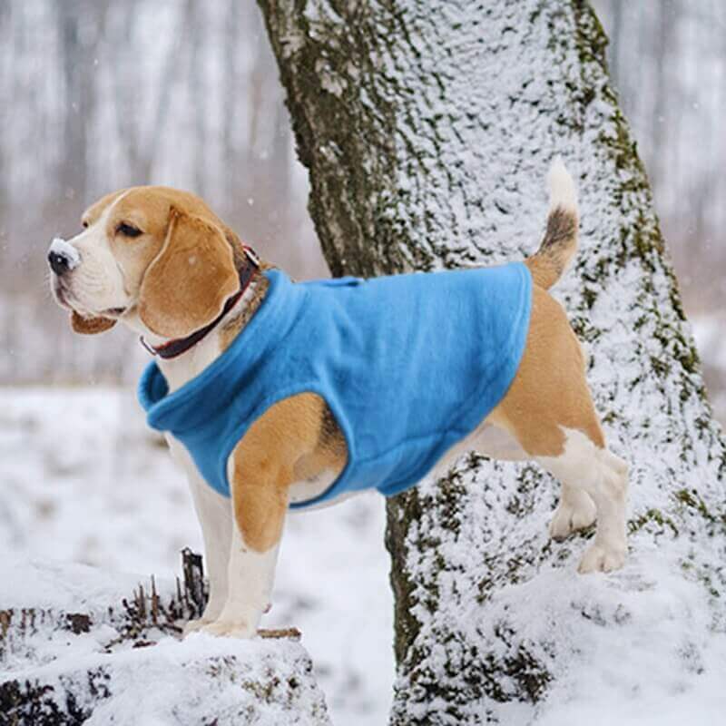 Winter Fleece Dog Clothing for Mostly Small Dogs