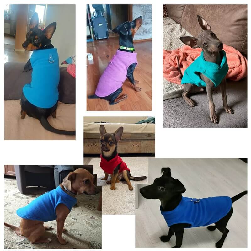 Winter Fleece Dog Clothing for Mostly Small Dogs